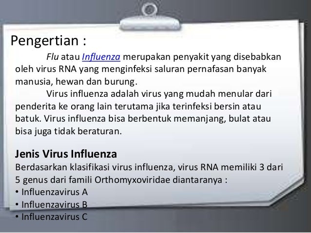 Influenza Atau Flu