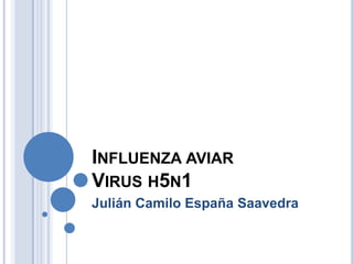 INFLUENZA AVIAR
VIRUS H5N1
Julián Camilo España Saavedra
 