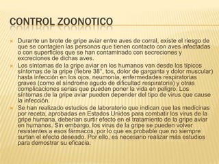 CONTROL ZOONOTICO
   Durante un brote de gripe aviar entre aves de corral, existe el riesgo de
    que se contagien las personas que tienen contacto con aves infectadas
    o con superficies que se han contaminado con secreciones y
    excreciones de dichas aves.
   Los síntomas de la gripe aviar en los humanos van desde los típicos
    síntomas de la gripe (fiebre 38°, tos, dolor de garganta y dolor muscular)
    hasta infección en los ojos, neumonía, enfermedades respiratorias
    graves (como el síndrome agudo de dificultad respiratoria) y otras
    complicaciones serias que pueden poner la vida en peligro. Los
    síntomas de la gripe aviar pueden depender del tipo de virus que cause
    la infección.
   Se han realizado estudios de laboratorio que indican que las medicinas
    por receta, aprobadas en Estados Unidos para combatir los virus de la
    gripe humana, deberían surtir efecto en el tratamiento de la gripe aviar
    en humanos. Sin embargo, los virus de la gripe se pueden volver
    resistentes a esos fármacos, por lo que es probable que no siempre
    surtan el efecto deseado. Por ello, es necesario realizar más estudios
    para demostrar su eficacia.
 