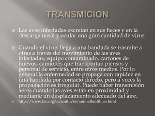    Las aves infectadas excretan en sus heces y en la
    descarga nasal y ocular una gran cantidad de virus
    .
   Cuando el virus llega a una bandada se trasmite a
    otras a través del movimiento de las aves
    infectadas, equipo contaminado, cartones de
    huevos, camiones que transportan piensos y
    personal de servicio, entre otros medios. Por lo
    general la enfermedad se propaga con rapidez en
    una bandada por contacto directo, pero a veces la
    propagación es irregular. Puede haber transmisión
    aérea cuando las aves están en proximidad y
    mediante un desplazamiento adecuado del aire.
   http://www.fao.org/avianflu/es/animalhealth_es.html
 
