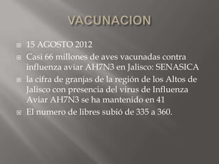    15 AGOSTO 2012
   Casi 66 millones de aves vacunadas contra
    influenza aviar AH7N3 en Jalisco: SENASICA
   la cifra de granjas de la región de los Altos de
    Jalisco con presencia del virus de Influenza
    Aviar AH7N3 se ha mantenido en 41
   El numero de libres subió de 335 a 360.
 
