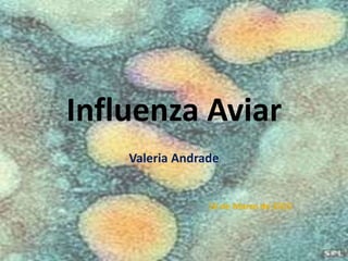 Influenza Aviar
Valeria Andrade
10 de Marzo de 2015
 