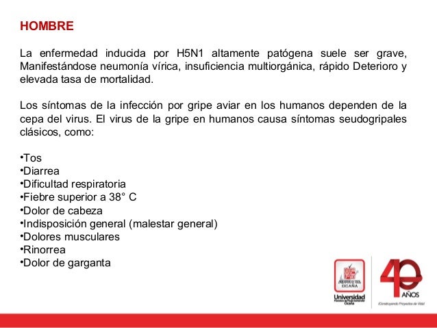 Como arreglar el dolor sobre los riñones al embarazo