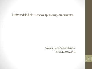 UniversidaddeCienciasAplicadasyAmbientales
Bryan Juzseth Gómez Garzón
T.I 98.122.912.841
1
 