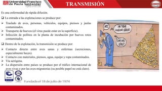 TRANSMISIÓN
Es una enfermedad de rápida difusión.
 La entrada a las explotaciones se produce por:
 Traslado de aves, personas, vehículos, equipos, piensos y jaulas
contaminados.
 Transporte de huevos (el virus puede estar en la superficie).
 Infección de pollitos en la planta de incubación por huevos rotos
contaminados.
 Dentro de la explotación, la transmisión se produce por:
 Contacto directo entre aves sanas y enfermas (secreciones,
especialmente heces).
 Contacto con materiales, piensos, agua, equipo y ropa contaminados.
 Vía aerógena.
 La dispersión entre países se produce por el tráfico internacional de
aves vivas y por las aves migratorias (su posible papel no está claro).
 