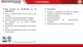 Para prevenir la introducción en las
explotaciones:
 Evitar el contacto entre aves de corral y aves
salvajes.
 Controlar el acceso del personal y los equipos.
 Limpieza y desinfección de locales y equipos.
 No introducir aves de estatus sanitario
desconocido.
 Declarar los casos de enfermedad y muerte de las
aves.
 Eliminar adecuadamente el estiércol y las aves de
corral muertas.
CONTROL
 Ante un foco:
 Sacrificio y destrucción de todos los animales
infectados y expuestos (y sus productos).
 Estricta cuarentena.
 Control de vehículos.
 Descontaminación de establecimientos
infectados.
 Esperar al menos 21 días antes de repoblar.
 