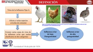 DEFINICIÓN
Virus de la Influenza Tipo A
Afecta a varias especies
avícolas de consumo
Existen varias cepas de virus de
la influenza aviar que suelen
clasificarse en dos categorías:
Influenza aviar
de baja
Patogenicidad
Influenza aviar
de alta
patogenicidad
https://www.google.com/search?q=GALLINAS%2C+pavos%2C+pollos%2C+pavos&tbm=isch&ved=2ahU
KEwjJ6pDpiOvoAhVGHN8KHbDyDU0Q2
 