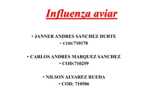 Influenza aviar
• JANNER ANDRES SANCHEZ DURTE
• COD:710178
• CARLOS ANDRES MARQUEZ SANCHEZ
• COD:710259
• NILSON ALVAREZ RUEDA
• COD: 710506
 