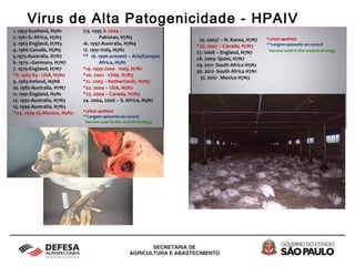 Virus de Alta Patogenicidade - HPAIV
 