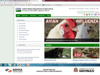 Influenza Aviária - 2015