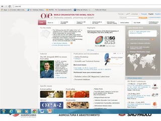 Influenza Aviária - 2015