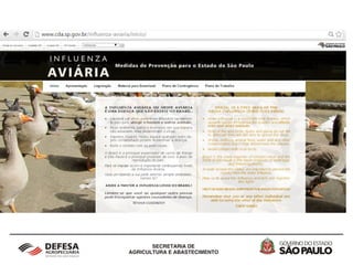 Influenza Aviária - 2015