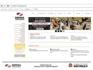 Influenza Aviária - 2015