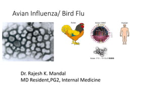 Avian Influenza/ Bird Flu
Dr. Rajesh K. Mandal
MD Resident,PG2, Internal Medicine
 