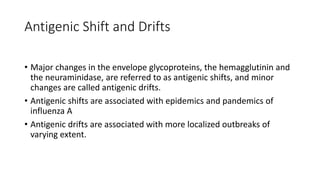 Antigenic Shift and Drifts
• Major changes in the envelope glycoproteins, the hemagglutinin and
the neuraminidase, are referred to as antigenic shifts, and minor
changes are called antigenic drifts.
• Antigenic shifts are associated with epidemics and pandemics of
influenza A
• Antigenic drifts are associated with more localized outbreaks of
varying extent.
 