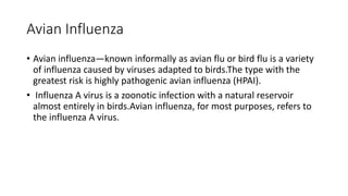 Avian Influenza
• Avian influenza—known informally as avian flu or bird flu is a variety
of influenza caused by viruses adapted to birds.The type with the
greatest risk is highly pathogenic avian influenza (HPAI).
• Influenza A virus is a zoonotic infection with a natural reservoir
almost entirely in birds.Avian influenza, for most purposes, refers to
the influenza A virus.
 