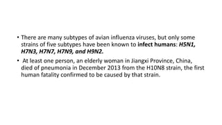 • There are many subtypes of avian influenza viruses, but only some
strains of five subtypes have been known to infect humans: H5N1,
H7N3, H7N7, H7N9, and H9N2.
• At least one person, an elderly woman in Jiangxi Province, China,
died of pneumonia in December 2013 from the H10N8 strain, the first
human fatality confirmed to be caused by that strain.
 