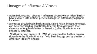 Lineages of Influenza A Viruses
• Avian influenza (AI) viruses – influenza viruses which infect birds –
have evolved into distinct genetic lineages in different geographic
locations.
• AI viruses circulating in birds in Asia, called Asian lineage AI viruses,
can be recognized as genetically different from AI viruses that
circulate among birds in North America (called North American
lineage AI viruses).
• North American lineage of H7N9 viruses could be further broken
down into the North American ‘wild bird’ lineage versus the North
American ‘poultry’ lineage.
 