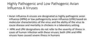 Highly Pathogenic and Low Pathogenic Avian
Influenza A Viruses
• Avian influenza A viruses are designated as highly pathogenic avian
influenza (HPAI) or low pathogenicity avian influenza (LPAI) based on
molecular characteristics of the virus and the ability of the virus to
cause disease and mortality in chickens in a laboratory setting.
• HPAI and LPAI designations do not refer to the severity of illness in
cases of human infection with these viruses; both LPAI and HPAI
viruses have caused severe illness in humans
 