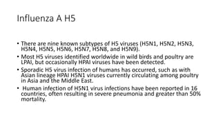 Influenza A H5
• There are nine known subtypes of H5 viruses (H5N1, H5N2, H5N3,
H5N4, H5N5, H5N6, H5N7, H5N8, and H5N9).
• Most H5 viruses identified worldwide in wild birds and poultry are
LPAI, but occasionally HPAI viruses have been detected.
• Sporadic H5 virus infection of humans has occurred, such as with
Asian lineage HPAI H5N1 viruses currently circulating among poultry
in Asia and the Middle East.
• Human infection of H5N1 virus infections have been reported in 16
countries, often resulting in severe pneumonia and greater than 50%
mortality.
 