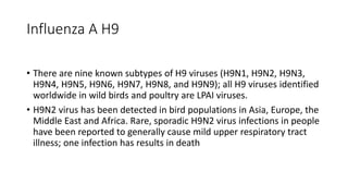 Influenza A H9
• There are nine known subtypes of H9 viruses (H9N1, H9N2, H9N3,
H9N4, H9N5, H9N6, H9N7, H9N8, and H9N9); all H9 viruses identified
worldwide in wild birds and poultry are LPAI viruses.
• H9N2 virus has been detected in bird populations in Asia, Europe, the
Middle East and Africa. Rare, sporadic H9N2 virus infections in people
have been reported to generally cause mild upper respiratory tract
illness; one infection has results in death
 