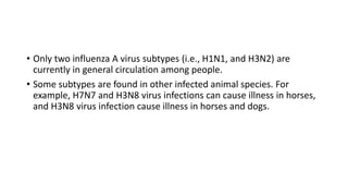 • Only two influenza A virus subtypes (i.e., H1N1, and H3N2) are
currently in general circulation among people.
• Some subtypes are found in other infected animal species. For
example, H7N7 and H3N8 virus infections can cause illness in horses,
and H3N8 virus infection cause illness in horses and dogs.
 