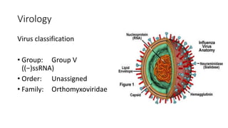 Virology
Virus classification
• Group: Group V
((−)ssRNA)
• Order: Unassigned
• Family: Orthomyxoviridae
 