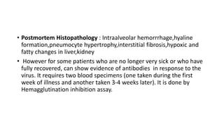 • Postmortem Histopathology : Intraalveolar hemorrrhage,hyaline
formation,pneumocyte hypertrophy,interstitial fibrosis,hypoxic and
fatty changes in liver,kidney
• However for some patients who are no longer very sick or who have
fully recovered, can show evidence of antibodies in response to the
virus. It requires two blood specimens (one taken during the first
week of illness and another taken 3-4 weeks later). It is done by
Hemagglutination inhibition assay.
 
