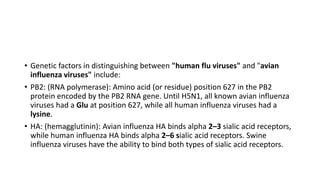 • Genetic factors in distinguishing between "human flu viruses" and "avian
influenza viruses" include:
• PB2: (RNA polymerase): Amino acid (or residue) position 627 in the PB2
protein encoded by the PB2 RNA gene. Until H5N1, all known avian influenza
viruses had a Glu at position 627, while all human influenza viruses had a
lysine.
• HA: (hemagglutinin): Avian influenza HA binds alpha 2–3 sialic acid receptors,
while human influenza HA binds alpha 2–6 sialic acid receptors. Swine
influenza viruses have the ability to bind both types of sialic acid receptors.
 