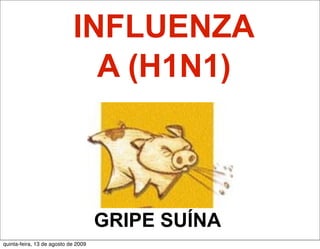 INFLUENZA
                              A (H1N1)



                                     GRIPE SUÍNA
quinta-feira, 13 de agosto de 2009
 