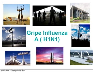 Gripe Influenza
                                        A ( H1N1)




quinta-feira, 13 de agosto de 2009
 