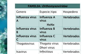 FAMILIA: Orthomyxoviridae
Genero Especie/tipo Hospedero
Influenza virus
A
Influenza A
virus
HxNx
Vertebrados
Influenza virus
B
Influenza B
virus
Vertebrados
Influenza virus
C
Influenza C
virus
Vertebrados
Thogotovirus Thogoto virus
Dhori virus
Vertebrados
Isavirus Infectious Vertebrados
 