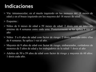  Via: intramuscular; en el muslo izquierdo en los menores del 18 meses de
edad y en el brazo izquierdo em los mayores del 18 meses de edad.
 Esquema :
 Niños de 6 meses de edad a 59 meses de edad: 2 dosis con un intervalo
minimo de 4 semanas entre cada uma. Posteriormente se les aplica 1 vez al
año
 Niños 5 a 8 años de edad com factor de riesgo: 2 dosis intervalo entre ellas
de 4 semanas. Se aplica 1 vez al año.
 Mayores de 9 años de edad con factor de riesgo, embarazadas, cuidadores de
menores de 5 años de edad y los trabajadores de la salud: 1 dosis al año
 Adultos de 50 a 59 años de edad com factor de riesgo y mayores de 60 años:
1 dosis cada año.
Indicaciones
 