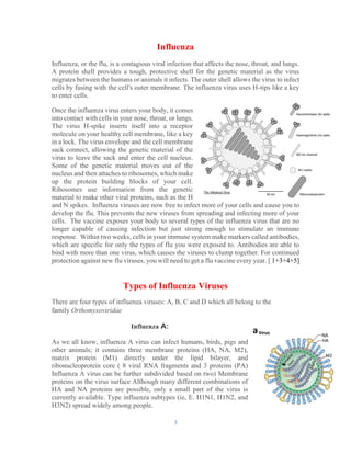 3
Influenza
Influenza, or the flu, is a contagious viral infection that affects the nose, throat, and lungs.
A protein shell provides a tough, protective shell for the genetic material as the virus
migrates between the humans or animals it infects. The outer shell allows the virus to infect
cells by fusing with the cell's outer membrane. The influenza virus uses H-tips like a key
to enter cells.
Once the influenza virus enters your body, it comes
into contact with cells in your nose, throat, or lungs.
The virus H-spike inserts itself into a receptor
molecule on your healthy cell membrane, like a key
in a lock. The virus envelope and the cell membrane
sack connect, allowing the genetic material of the
virus to leave the sack and enter the cell nucleus.
Some of the genetic material moves out of the
nucleus and then attaches to ribosomes, which make
up the protein building blocks of your cell.
Ribosomes use information from the genetic
material to make other viral proteins, such as the H
and N spikes. Influenza viruses are now free to infect more of your cells and cause you to
develop the flu. This prevents the new viruses from spreading and infecting more of your
cells. The vaccine exposes your body to several types of the influenza virus that are no
longer capable of causing infection but just strong enough to stimulate an immune
response. Within two weeks, cells in your immune system make markers called antibodies,
which are specific for only the types of flu you were exposed to. Antibodies are able to
bind with more than one virus, which causes the viruses to clump together. For continued
protection against new flu viruses, you will need to get a flu vaccine every year. [ 1+3+4+5]
Types of Influenza Viruses
There are four types of influenza viruses: A, B, C and D which all belong to the
family Orthomyxoviridae
Influenza A:
As we all know, influenza A virus can infect humans, birds, pigs and
other animals; it contains three membrane proteins (HA, NA, M2),
matrix protein (M1) directly under the lipid bilayer, and
ribonucleoprotein core ( 8 viral RNA fragments and 3 proteins (PA)
Influenza A virus can be further subdivided based on two) Membrane
proteins on the virus surface Although many different combinations of
HA and NA proteins are possible, only a small part of the virus is
currently available. Type influenza subtypes (ie, E. H1N1, H1N2, and
H3N2) spread widely among people.
 