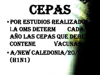 CEPAS
•Por estudios realizados
la OMS determina cada
año las cepas que deben
contener las vacunas.
•A/New Caledonia/20/99
(H1N1)
 