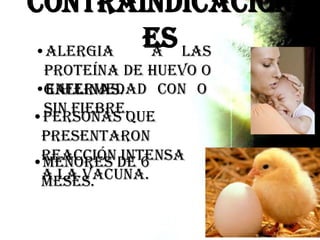 Contraindicacion
es
•Enfermedad con o
sin fiebre.
•Personas que
presentaron
reacción intensa
a la vacuna.
•Alergia a las
proteína de huevo o
gallinas.
•Menores de 6
meses.
 
