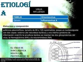 Etiologí
a
VIRUS
INFLUENZA
FAMILIA Ortomixovirus
Género Influenzavirus A
Estructura y composición
Fuente: ICTVdB Management (2006). 00.046.0.01.001. Influenza A virus. In: ICTVdB - The
Universal Virus Database, version 4. Büchen-Osmond, C. (Ed), Columbia University, New
York, USA
esféricos pleomórficos, tamaño de 80 a 120 nanómetros, posee un nucleocápside
con dos capas: externa (de naturaleza lipídica) y una interna (proteína de
información viral) En la envoltura lipídica se insertan las dos glicoproteínas del
virus, la Hemaglutinina (HA) y la neuraminidasa (NA)
El virus se
subclasifica
según las
proteínas de su
superficie.
 