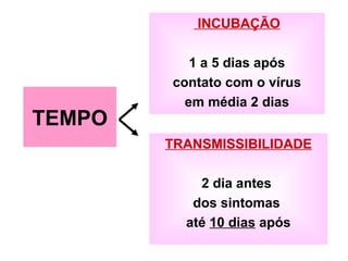 INCUBAÇÃO
1 a 5 dias após
contato com o vírus
em média 2 dias
TRANSMISSIBILIDADE
2 dia antes
dos sintomas
até 10 dias após
TEMPO
 