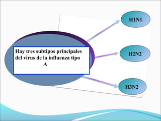 H1N1
H2N2
H3N2
Hay tres subtipos principales
del virus de la influenza tipo
A
 