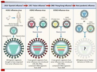 Influenza | PDF