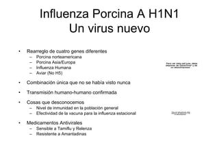 Rearreglo de cuatro genes diferentes Porcina norteamericana Porcina Asia/Europa Influenza Humana Aviar (No H5) Combinaci ón única que no se había visto nunca Transmisi ón h umano-humano confirmada Cosas que desconocemos Nivel de inmunidad en la poblaci ón general Efectividad de la vacuna para la influenza estacional  Medicamentos Antivirales Sensible a Tamiflu y Relenza Resistente a Amantadinas Influenza Porcina A H1N1 Un virus nuevo 