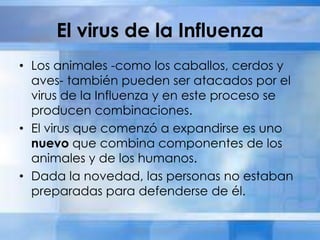 El virus de la Influenza
• Los animales -como los caballos, cerdos y
aves- también pueden ser atacados por el
virus de la Influenza y en este proceso se
producen combinaciones.
• El virus que comenzó a expandirse es uno
nuevo que combina componentes de los
animales y de los humanos.
• Dada la novedad, las personas no estaban
preparadas para defenderse de él.
 