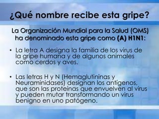 ¿Qué nombre recibe esta gripe?
• La letra A designa la familia de los virus de
la gripe humana y de algunos animales
como cerdos y aves.
• Las letras H y N (Hemaglutininas y
Neuraminidases) designan los antígenos,
que son las proteínas que envuelven al virus
y pueden mutar transformando un virus
benigno en uno patógeno.
La Organización Mundial para la Salud (OMS)
ha denominado esta gripe como (A) H1N1:
 