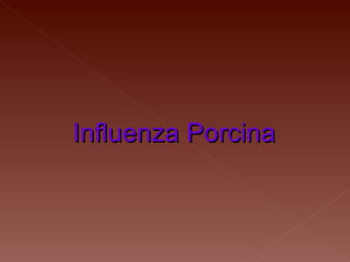 Influenza Porcina 
