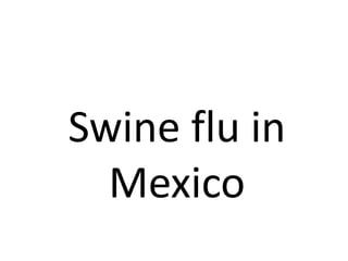 Swine flu in Mexico 