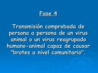 Fase 4

   Transmisión comprobada de
 persona a persona de un virus
  animal o un virus reagrupado
humano-animal capaz de causar
  "brotes a nivel comunitario".
 
