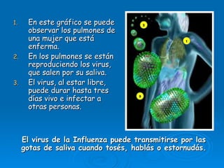 1.    En este gráfico se puede
      observar los pulmones de
      una mujer que está
      enferma.
2.    En los pulmones se están
      reproduciendo los virus,
      que salen por su saliva.
3.    El virus, al estar libre,
      puede durar hasta tres
      días vivo e infectar a
      otras personas.



     El virus de la Influenza puede transmitirse por las
     gotas de saliva cuando tosés, hablás o estornudás.
 