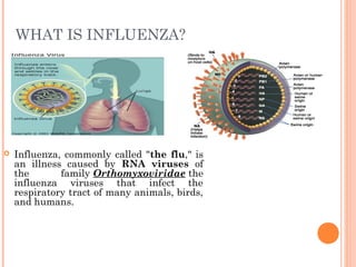 Influenza presentation by manish singh | PPT