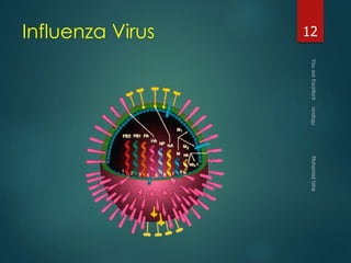 Influenza Virus 12 
 