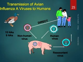 25 
Influenza A Viruses to Humans 
Human 
virus 
Reassortant 
virus 
Transmission of Avian 
Non-human 
virus 
15 HAs 
9 NAs 
 